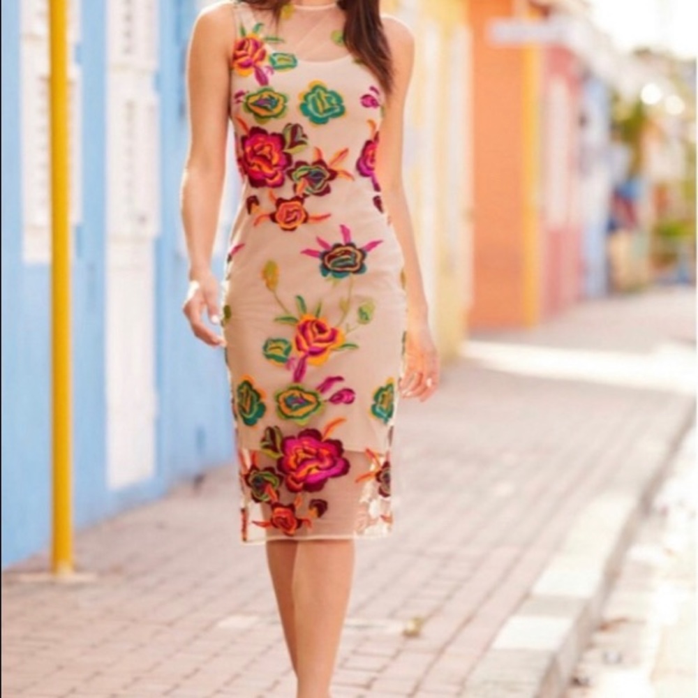 Brand new Boston proper dress